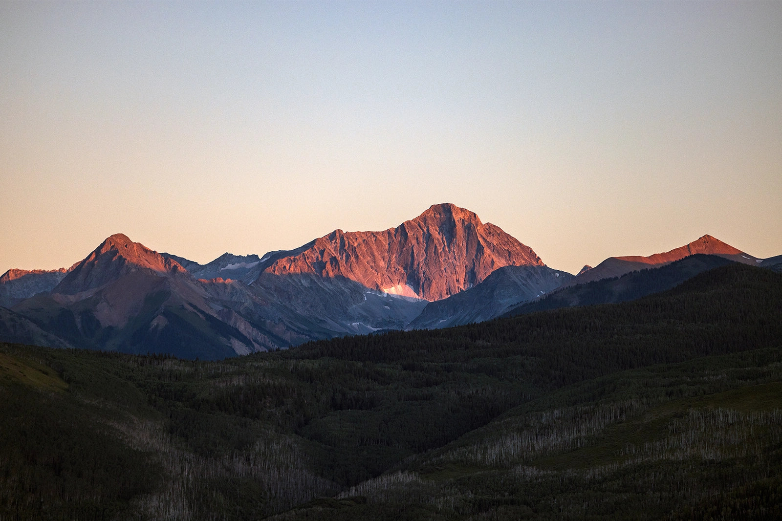 Impact_Banner_Image.webp