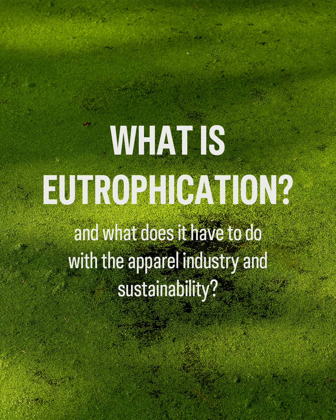 eutrophication_impact_page_a0d24e9f-583c-482f-b359-83398bd0de46.png