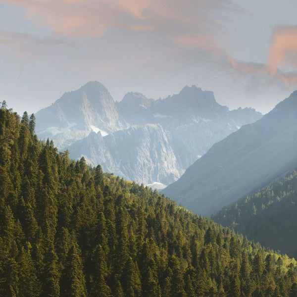 EMF25_Mobile_Banner_Blank.webp