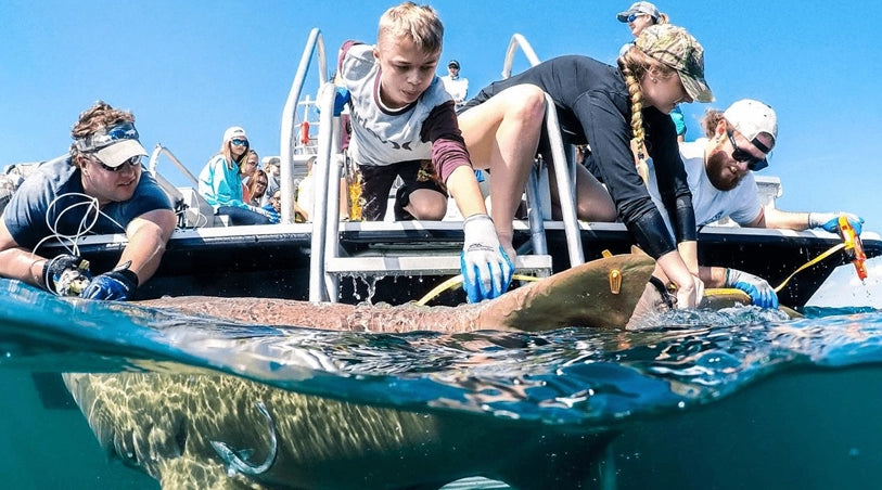 Guy Harvey Foundation