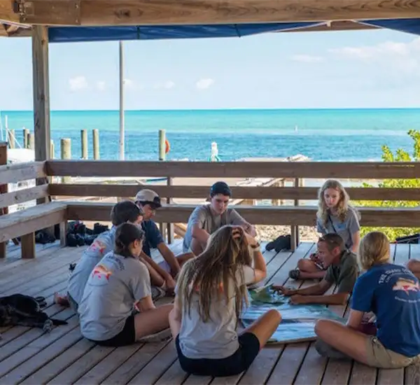 Island_School_Gallary_4.webp