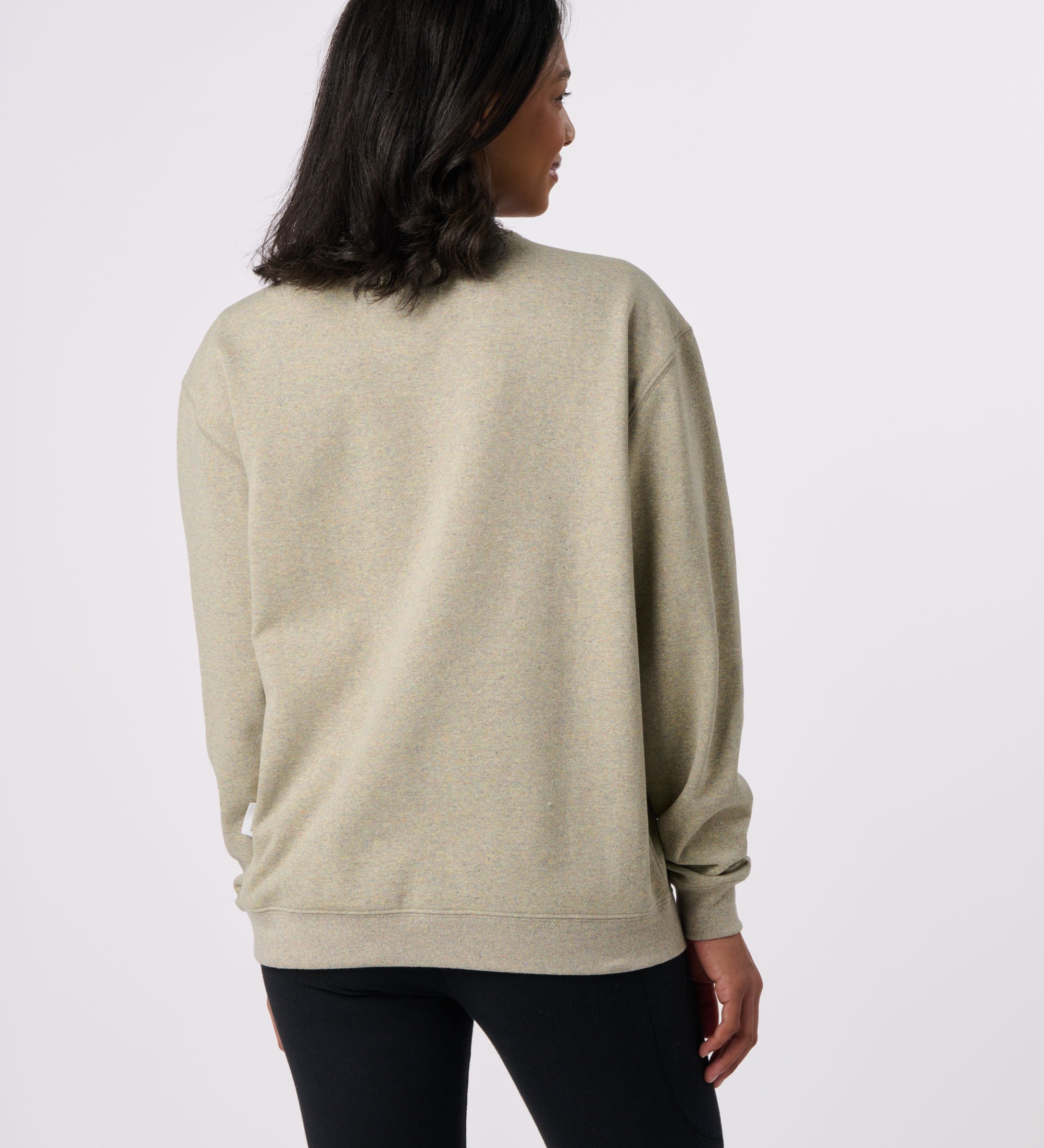 RECOVER_RC1095_UNISEXCREWNECKSWEATSHIRT_RAINBOW_BACK_W_792ba5df-2279-4dda-9e83-473c358b2371.png